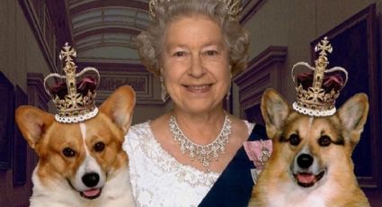 Los perros de la raza corgi de la reina Isabel II ya tienen dueño