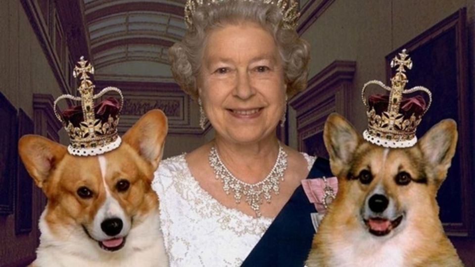 La reina Isabel II con sus perritos corgi.