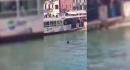 Indigna video que muestra cómo se ahoga un africano mientras lo insultan en Italia 