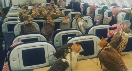 Príncipe saudí compra 80 boletos de avión para viajar con sus halcones