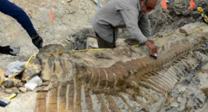 Hallan científicos al ancestro humano más antiguo 