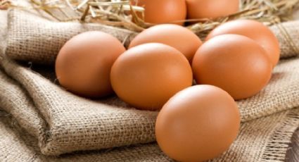 El huevo es nutritivo, no eleva el colesterol y puede consumirse a diario: UNAM