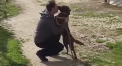 Emotiva reacción de un perro al ver a su dueño 3 años después (VIDEO)