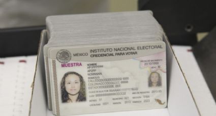INE sin entregar más de 50 mil credenciales de elector a mexicanos en el exterior