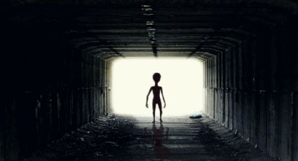 Si existieran extraterrestres ¿podrían ser como los humanos? 