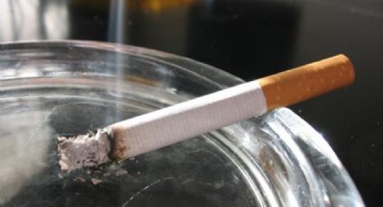 En San Lázaro se rehúsan a eliminar zonas exclusivas para fumadores, acusa diputada