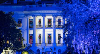Casa Blanca sufrió plagas de cucarachas, hormigas y ratones