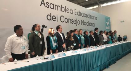 Aprueba Panal coalición 'Meade Ciudadano por México' con PRI y PVEM 