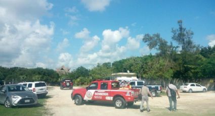 Se desploma avioneta en Quintana Roo; buscan a tripulantes