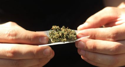 Demanda UNDF a SCJN desechar uso lúdico de marihuana