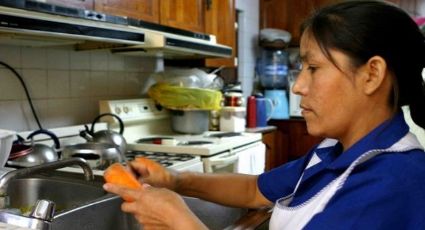20.6 millones de mujeres son económicamente activas: Instituto Belisario Domínguez