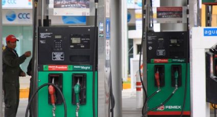 Inegi debe dar a conocer estadísticas sobre de gasolina, diésel y biodiesel: INAI 