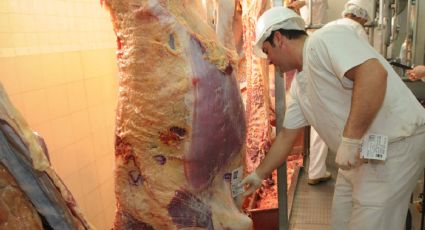 Teme Brasil impacto en exportaciones de carne por corrupción sector cárnico