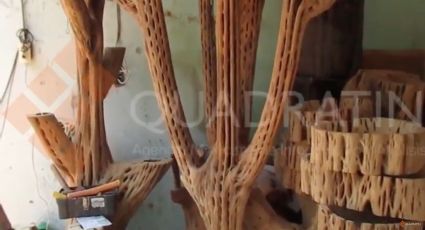 Troncos cobran vida a través de las artesanías realizadas por indígenas 