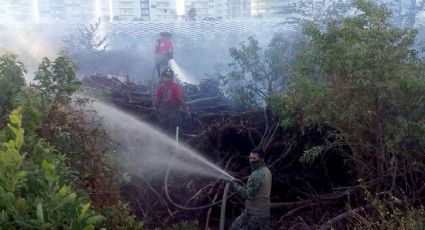 Incendio consume 3.5 hectáreas de manglar en Tajamar