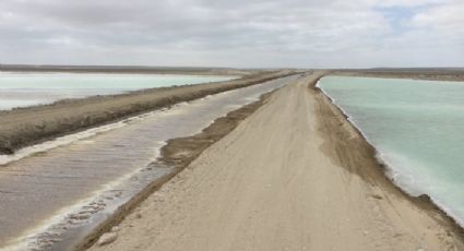 'Inexistente' el derrame de salmuera en Laguna Ojo de Liebre en BCS: Profepa