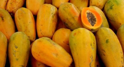 Producción de papaya aumenta 30% en últimos cuatro años: Sagarpa