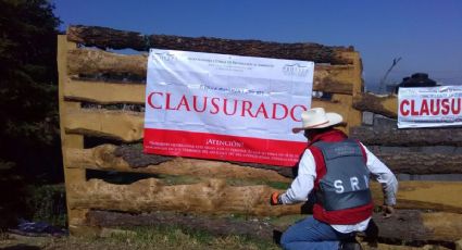 Asegura Profepa 58 toneladas de madera ilegal en Milpa Alta