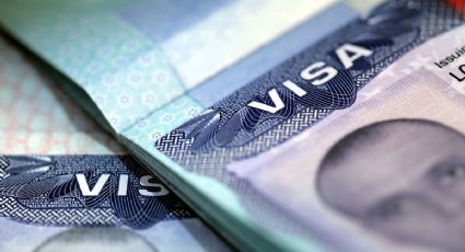 EEUU discute las clases de visas para mexicanos: embajadora