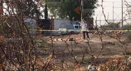 Hallan cuerpos de cuatro personas en Apaseo el Grande, Guanajuato