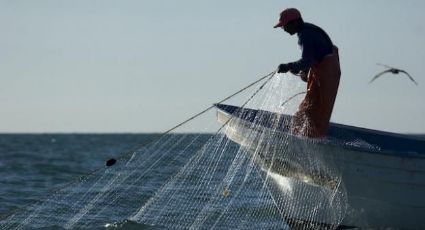 Sagarpa amplía restricción de pesca en el Alto Golfo de California