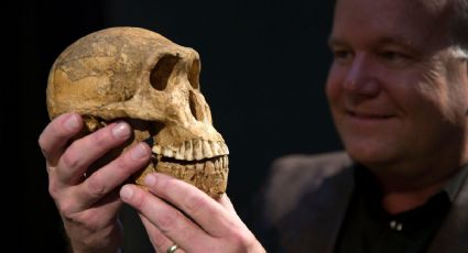 Homínidos primitivos pudieron haber convivido con el hombre moderno, especialistas