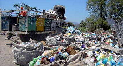 PVEM pide dar incentivos y no sanciones por separación de basura