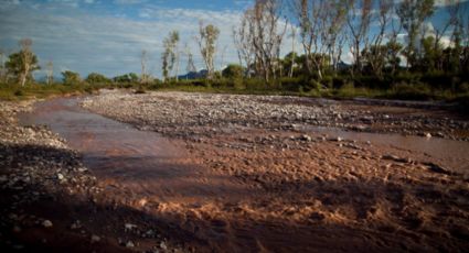 Descartan riesgo en consumo de agua potable por derrame en mina en Chihuahua