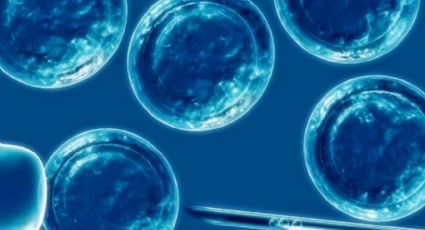 Investigadores logran modificar genéticamente embriones humanos