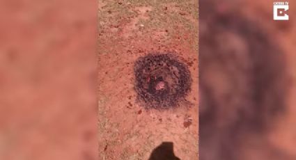 Encuentra un meteorito en llamas en el patio de su casa