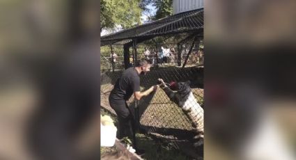 Delantero francés Gignac conoce a su 'tocayo' felino en zoológico de Monterrey