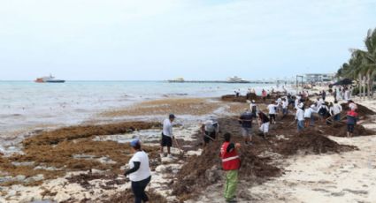 Realizan trabajos de limpieza en Playa del Carmen tras paso de 'Franklin'