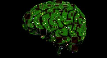 Científicos desarrollan microchips que imitan funciones del cerebro humano