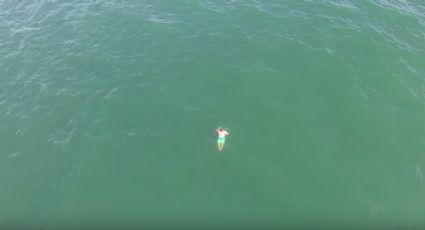 Escapa de la policía saltando al mar pero se encuentra con un tiburón