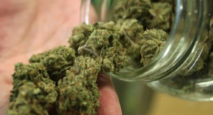 Venta de mariguana en tiendas bajo control estatal en Canadá será legal