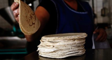 Declaración sobre alza en la tortilla carece de fundamento: SE