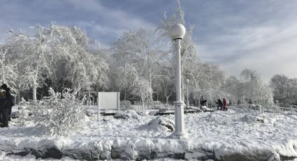 Alerta gobernador de Florida sobre frío 'extremo' y posible nieve
