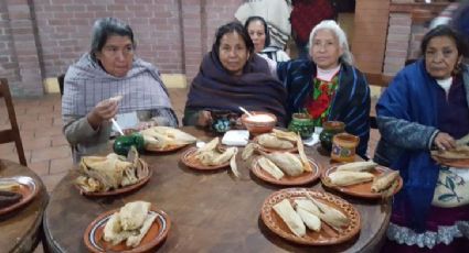 'Marichuy' no fue atacada por nadie: SSP-Michoacán