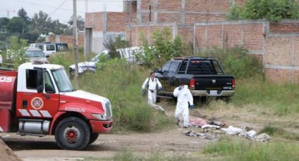 Hallan 11 cuerpos dentro de fosas clandestinas en Tonalá, Jalisco