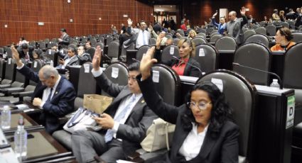 Desclasificar documentos sobre extinción de Luz y Fuerza, piden diputados de Morena 
