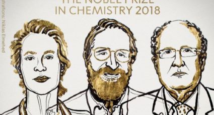 Arnold, Smith y Winter obtienen el Nobel de Química