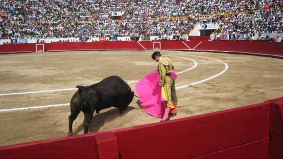 Un juez suspende las corridas de toros en la Plaza México.