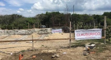 Profepa clausura construcción en zona de anidación de tortugas en Oaxaca