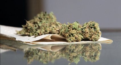 UNPF lamenta jurisprudencia sobre uso lúdico de marihuana