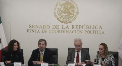 Senado ratifica a Juan de la Fuente como embajador ante ONU