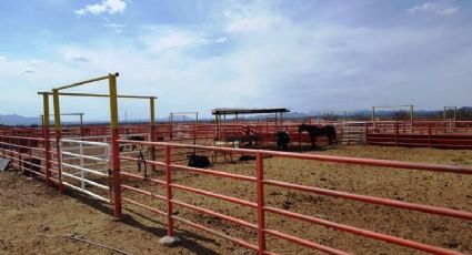 Fiscalía de Chihuahua asegura rancho de 30 mil hectáreas de César Duarte (FOTOS)