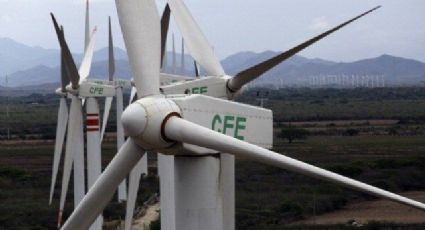 México crecerá en regiones que aprovechen energía eólica: AMDEE