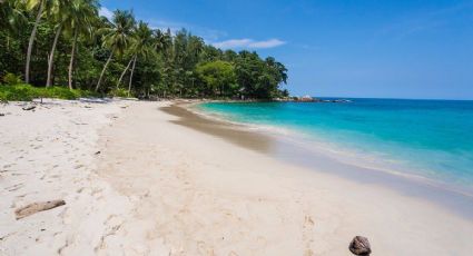 Playas mexicanas limpias para los turistas en Semana Santa: Cofepris 