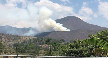 Controlan 55% de incendio forestal en Sierra Norte de Oaxaca