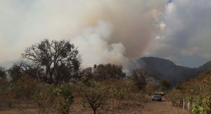 Sofocan el 70% de incendio forestal en Bosque La Primavera, Jalisco